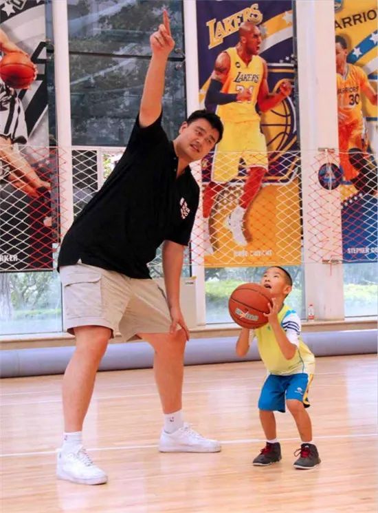 对于鹈鹕来